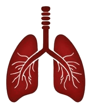 Louisville Lung Care Logo
